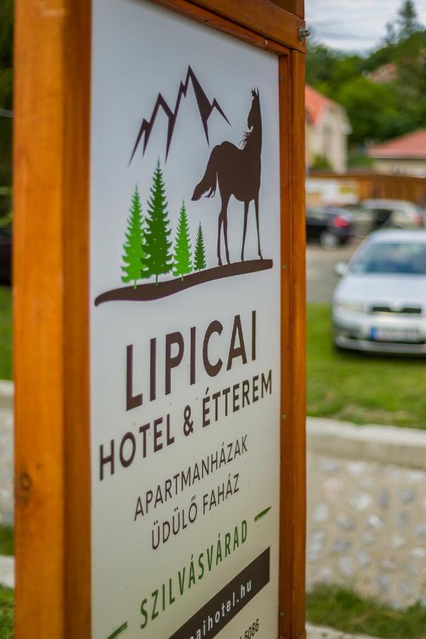Lipicai Ifjusagi Szallo Сільвашварад Екстер'єр фото